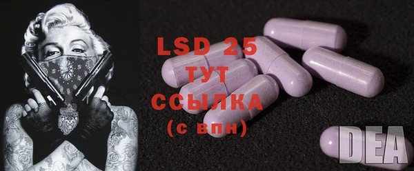 индика Лиски