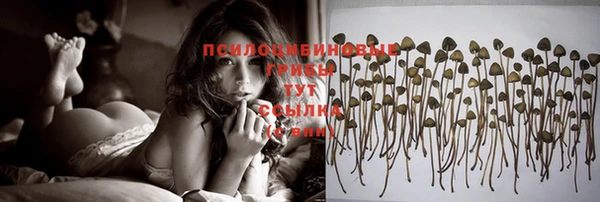 индика Лиски