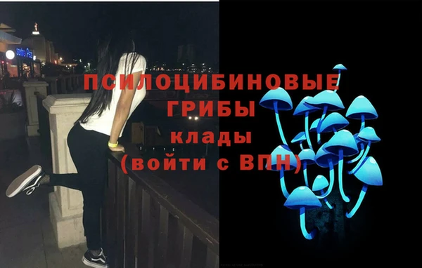 мяу мяу мука Ханты-Мансийск