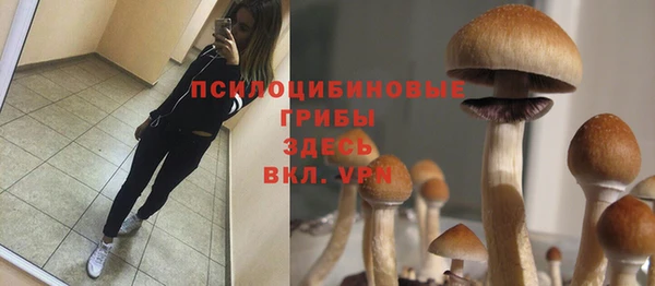 jwh Ладушкин