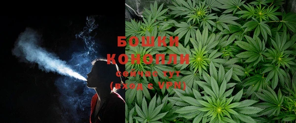 индика Лиски