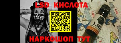 индика Кингисепп