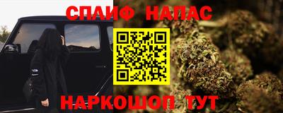 индика Кингисепп