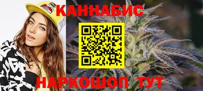 индика Кингисепп