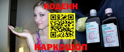 индика Кингисепп