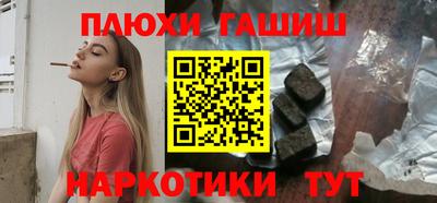 индика Кингисепп