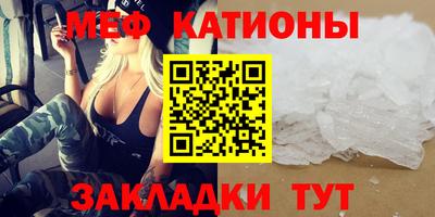 индика Кингисепп